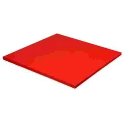 Sport-Thieme Judo Mat