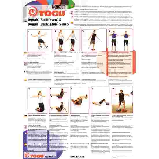 Togu Dynair Ballkissen "Senso 33 Cm" Ball Cushion - Image 9