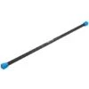 Sport-Thieme Weighted Steel Bar