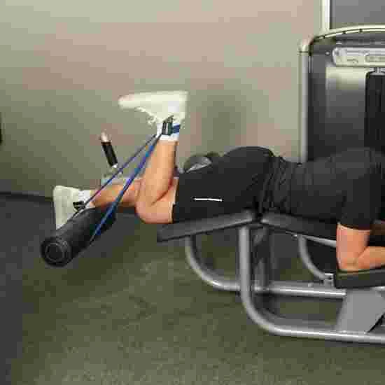 Snakecurl "Resistance" Ankle Straps - Image 4