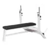 Sport-Thieme "SQ" Olympic Bench