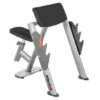 Sport-Thieme "OV" Preacher Curl Bench