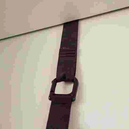 Schildkröt "Switch" - Image 2