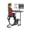 LifeSpan "Unity Solo" Desk Bike